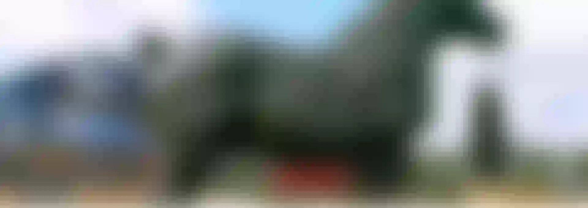 Image du carousel de Comité de jumelage LANDIVISIAU-BIDEFORD N°1